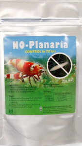 No planaria